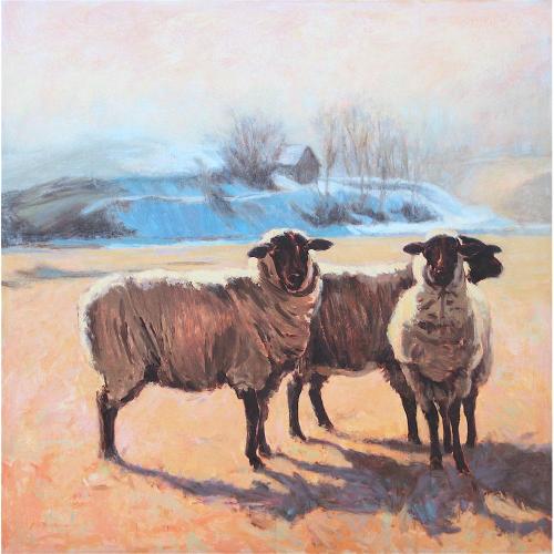 Jan Perkins Sheep